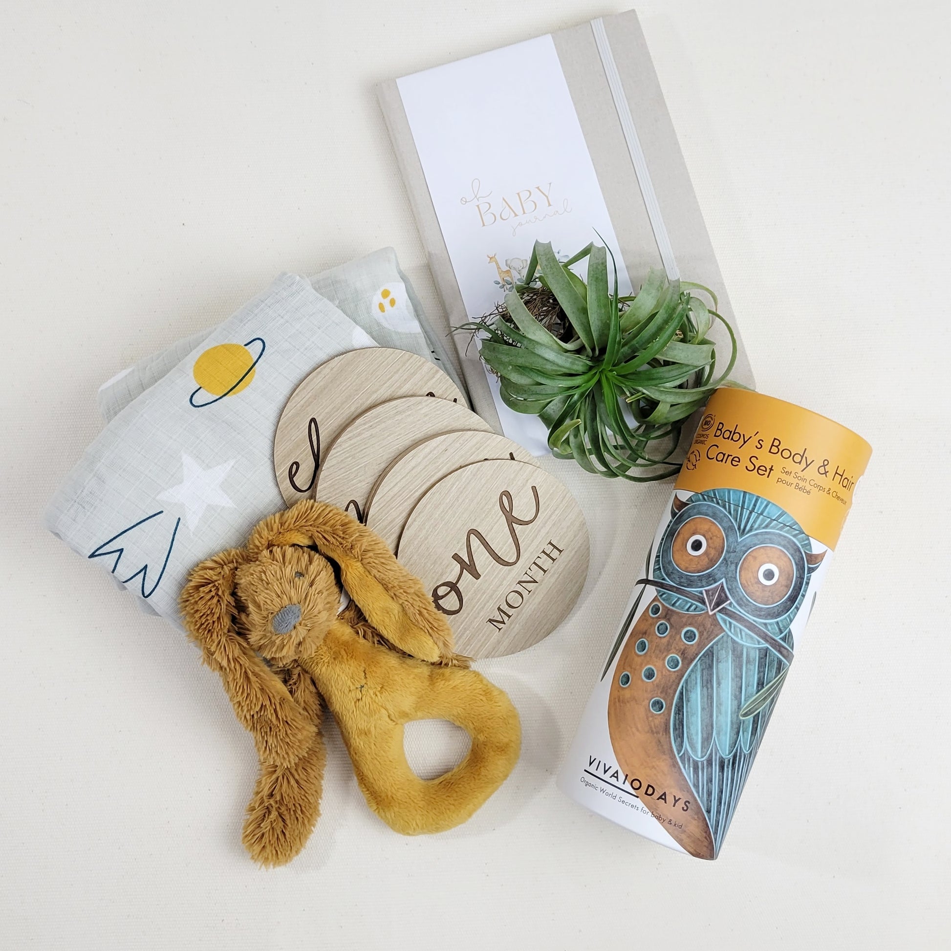 deconstructed baby gift care package from linden square with rattle, baby shampoo care set, milestone markers, swaddle, journal and plant